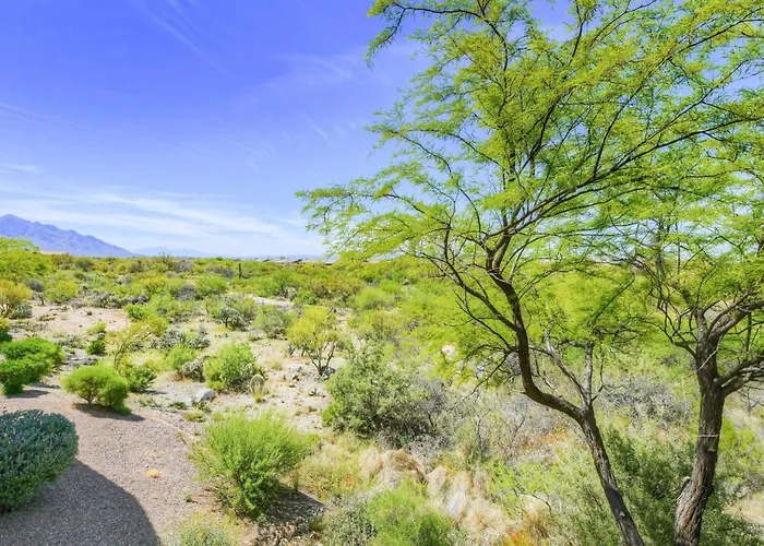 Sun Daze * Oro Valley
